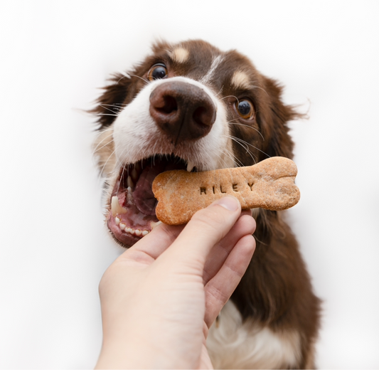 Custom doggy bones