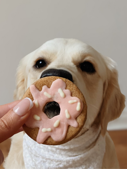 “Pawty” rings